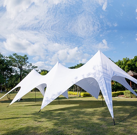 Canopy