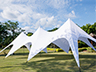 Canopy